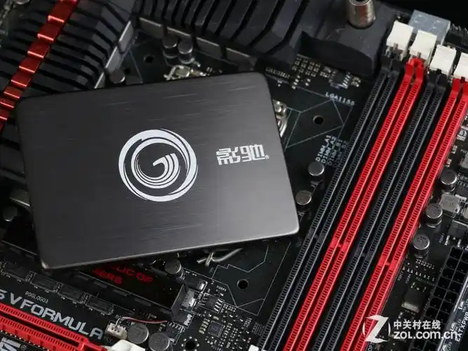 【高清图】 超耐久3年换新 1399元买影驰虎将512gb图15