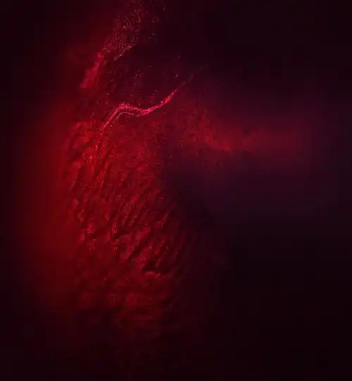 张华为是什么人|8张华为mate20 rs保时捷内置壁纸下载 雍容华贵4k超清