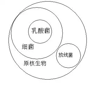 如何在生物教学中进行"概念教学"