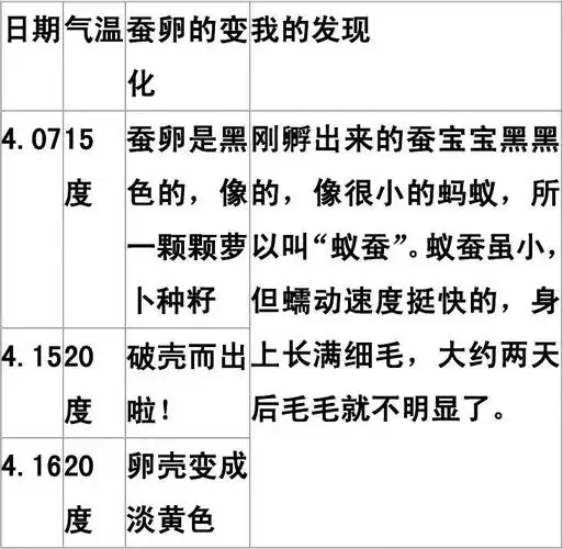 蚕的孵化记录表