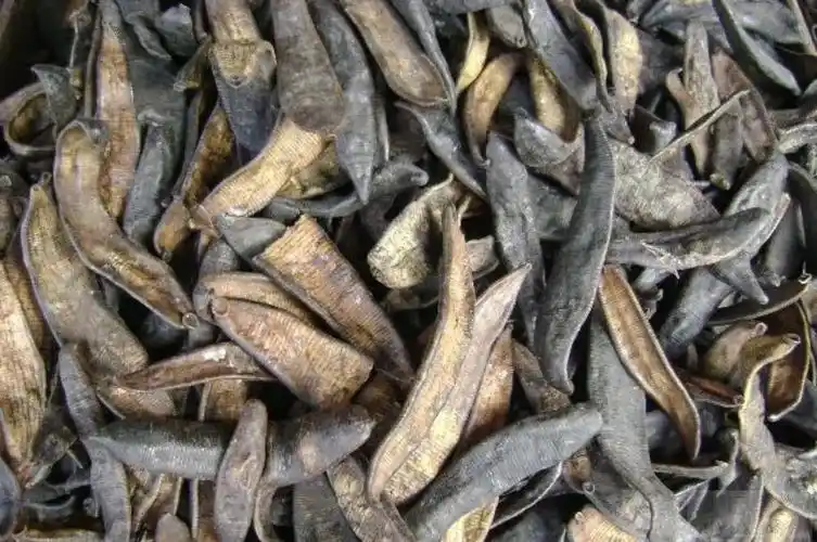 黄羊角的功效与作用