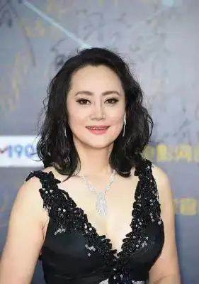 大宋佳简历个人资料老公是谁?改嫁后现状如何