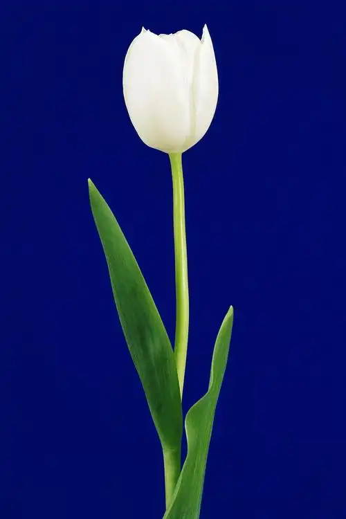 高清图片素材106p[中国photoshop资源网|ps教程|psd模板|照片处理|ps