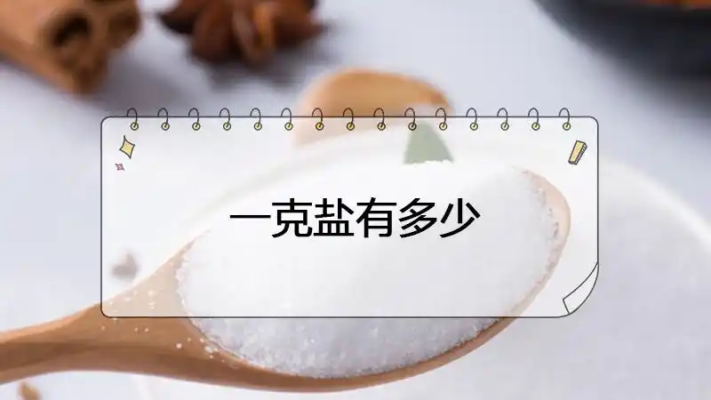 一克盐有多少
