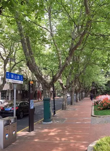 春风拂面,阳光灿烂,漫步衡山路.