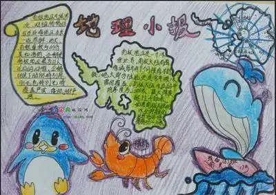 有关于南极洲的手抄报手抄报简单又好看