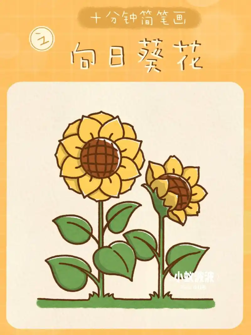 day37 / 10分钟简笔画之向日葵花97 今天来画好看的向日葵97 第一