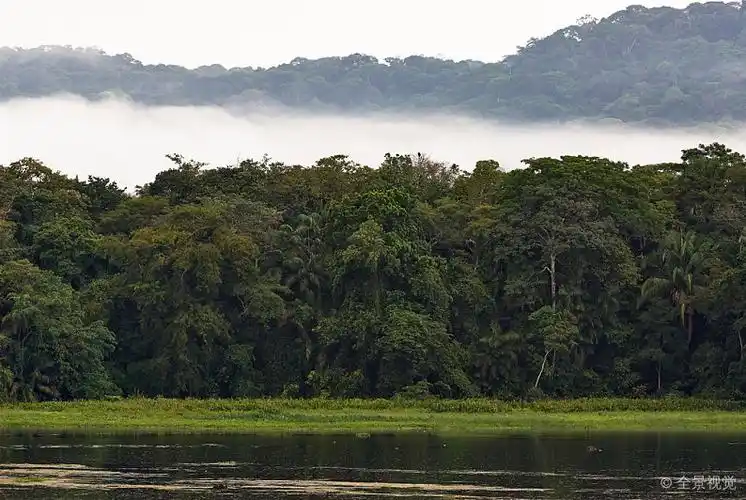 雨林_巴拿马_热带森林_湖_高清图片_全景视觉