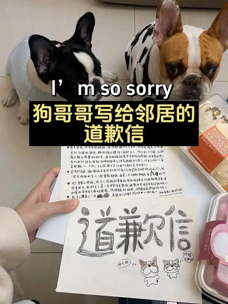 98狗哥哥给邻居的道歉信94.