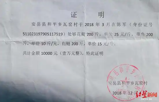 网友"鱼人1313"提供的盖有村委会公章的证明