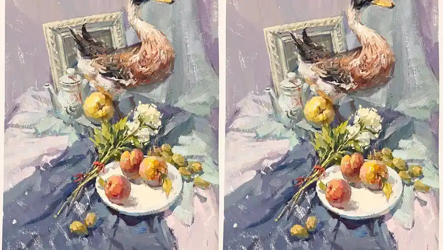 色彩静物,鸭子标本