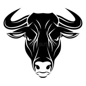 愤怒的牛头照片