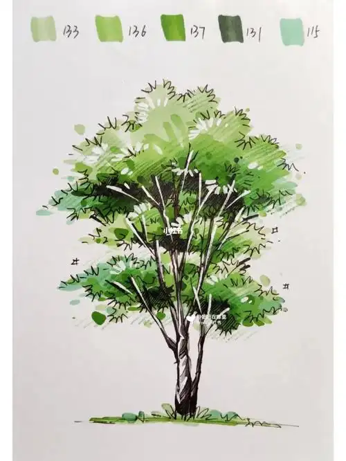 笔:斯塔9000pro画的时候要注意颜色过渡哦#河北专接本  #马克笔手绘