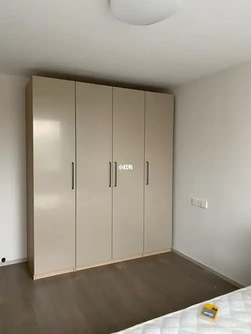 宜家衣柜 里因斯孚尔米灰色