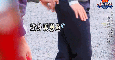 韩东君gif炸裆哥gif夹紧gif变身美男鱼gif