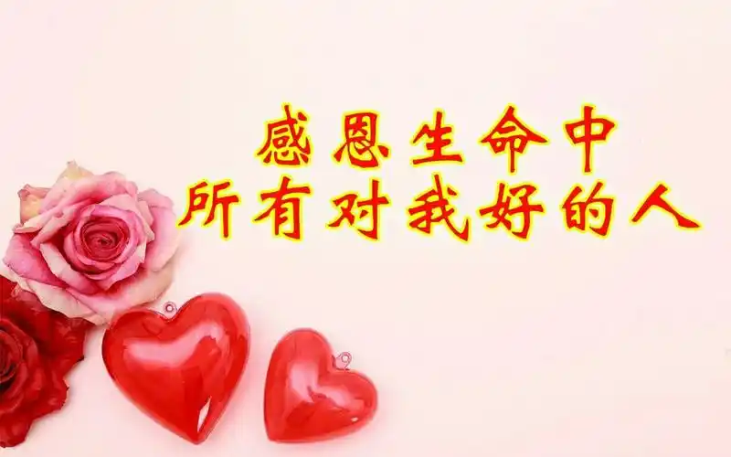 感恩这一年帮助过我的人!《谢谢你们》