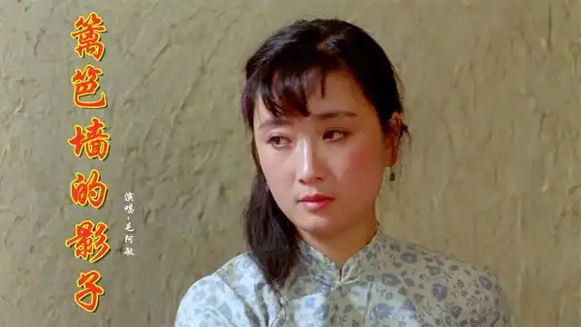 毛阿敏篱笆墙的影子唢呐一响便已泪如雨下歌声感人肺腑