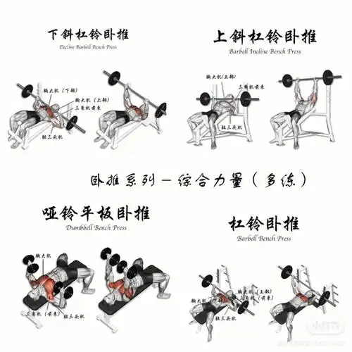 胸部基础动作组图,一个月打造饱满胸肌!