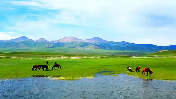 丰宁坝上草原2日跟团游 出寻塞北夕阳牧归辽阔京北草原 宿观景房 甄选