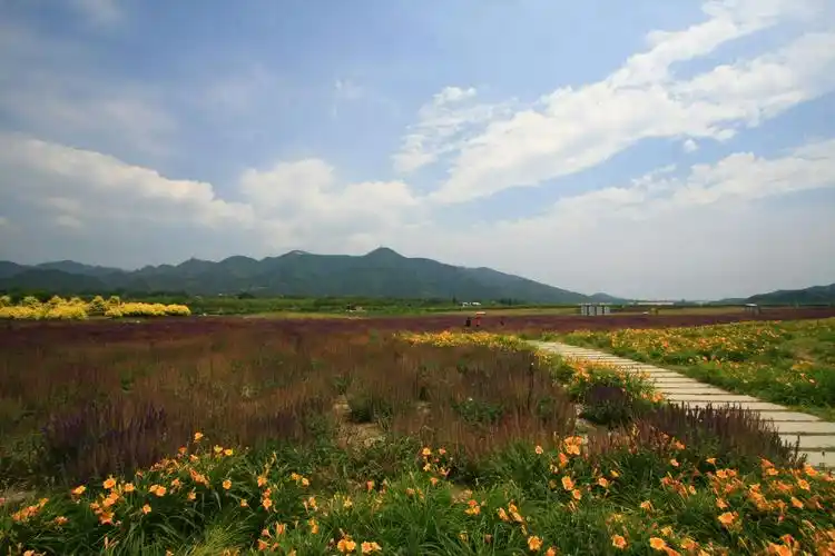北京昌平十三陵景区七孔桥花海