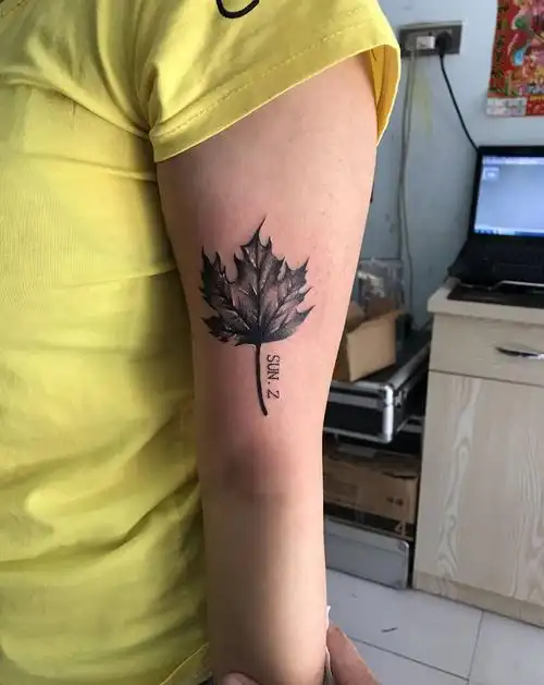 枫叶纹身图片_手臂纹身图案
