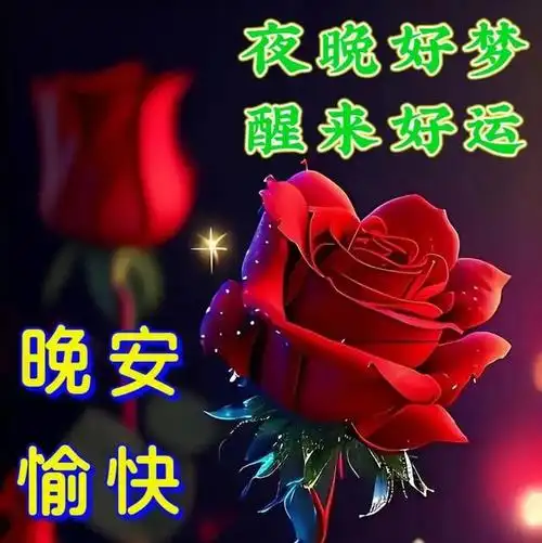 让我用最真挚的情感,为你写下一段最撩人,甜蜜而暖心的晚安情话.