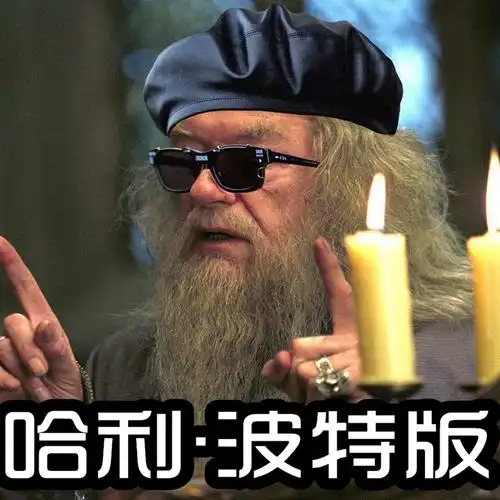 【生僻字】之哈利波特魔咒篇_壮哉我霍格沃兹(cov - a.e.