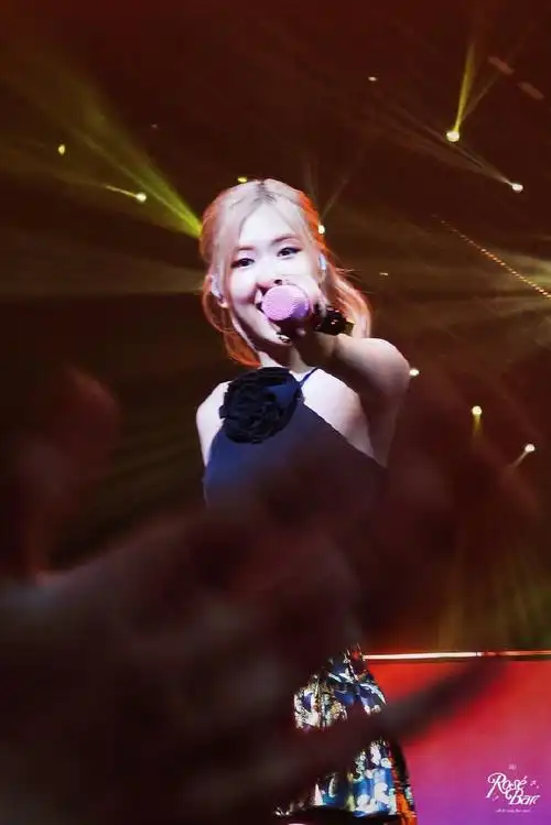 二猫     修图:粒粒07澳门solo舞台应援方案朴彩英_rosepark903