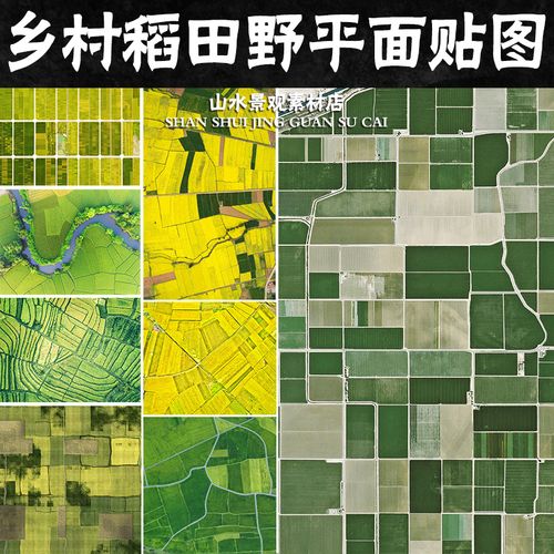 美丽乡村鸟瞰稻田野平面图素材合集2023农田乡村田野稻田平面贴图