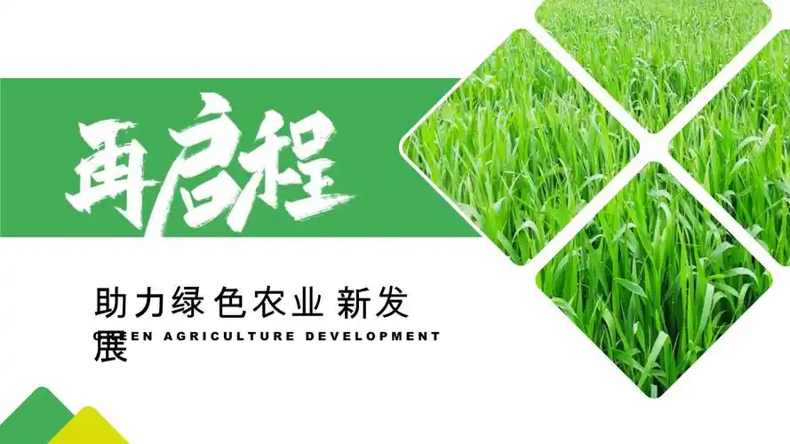 简约助力绿色农业新发展ppt模板_第1页