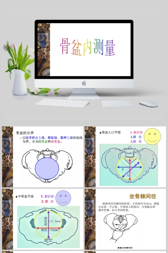 骨盆内测量ppt模板