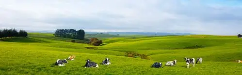 arla 美力滋奶粉以严谨的科研态度生产奶粉,融合北欧的纯净奶源,科学