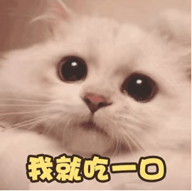 猫猫表情包 gif动图 我就吃一口 委屈巴巴