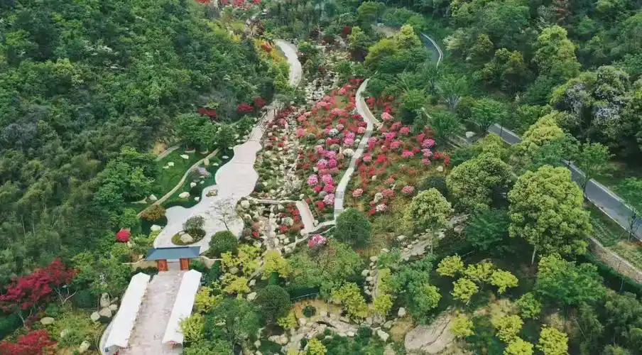 德清上渚山·奇幻谷之杜鹃谷 - 杭州园林景观设计有限公司
