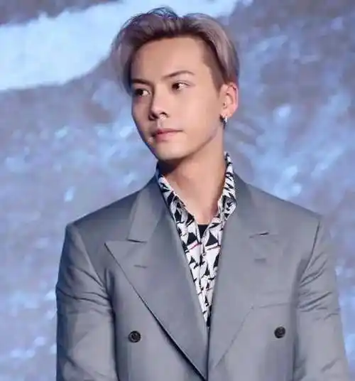 娱乐圈公认的4位痞帅男明星,帅而不油,只一眼就沦陷_胡杏儿_黄宗泽