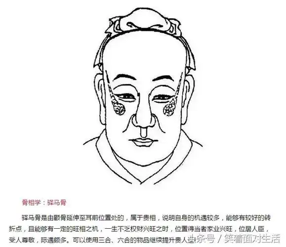 骨相学:巨鳌骨巨鳌骨是两耳侧隆起,此骨有权贵之相,但属于较为内功