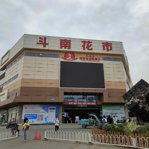 我永远爱昆明,还有斗南花市