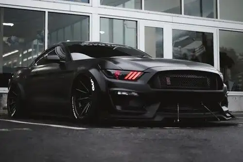 入门级美式肌肉跑车福特野马将独占鳌头_太平洋号