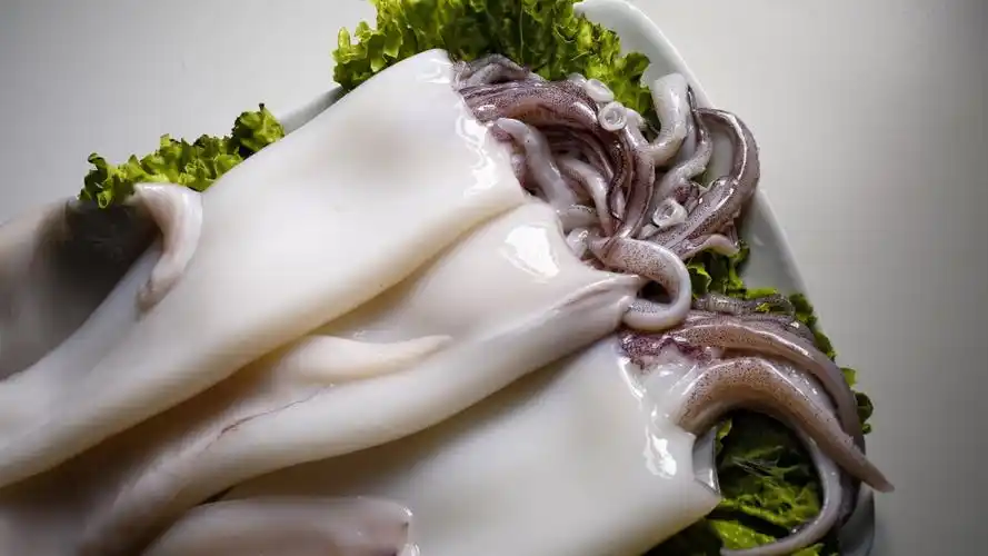 高清鱿鱼图片大全115