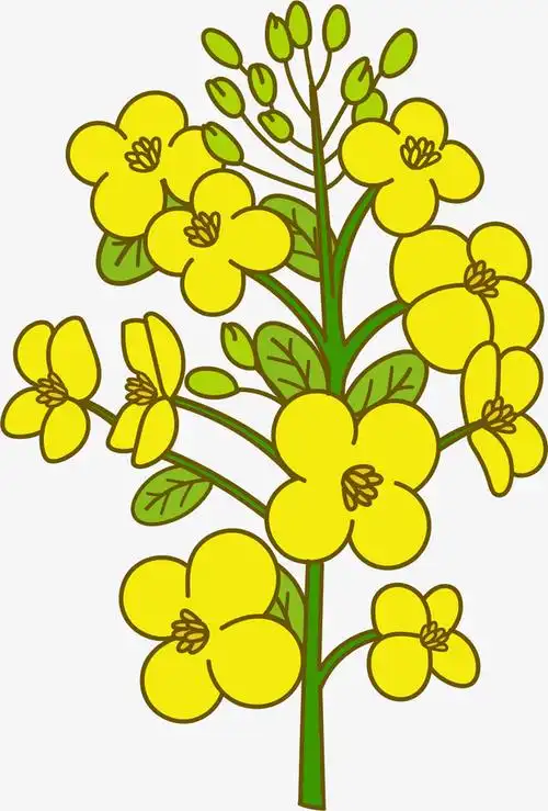 迷你矢量卡通油菜花免抠素材免费下载_觅元素51yuansu.com