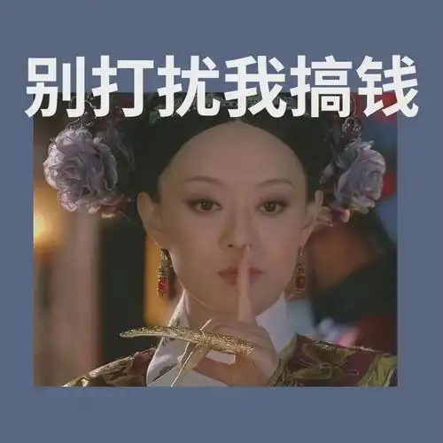 别打扰我搞钱