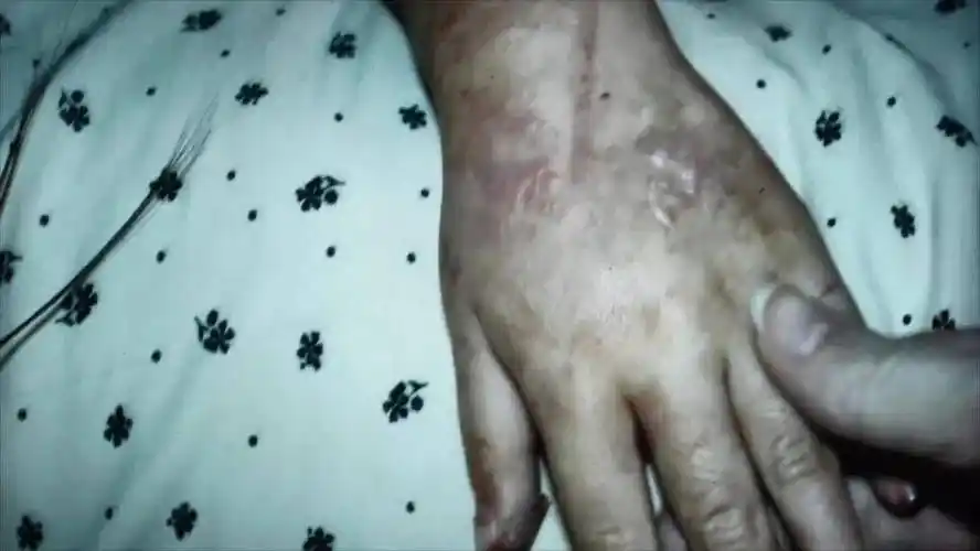 骂上热搜评分暴跌也挡不住全网求种