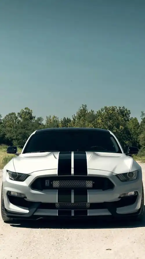 壁纸库野马来啦