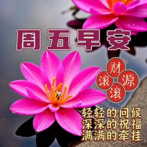 周五早安!愿你的一天充满阳光,心情如晴空般明朗.