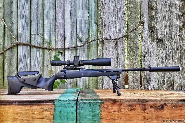 评测德国绍尔100pantera步枪精度075moa只需1097