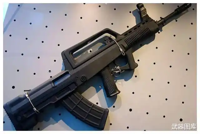 新中国国产步枪大盘点