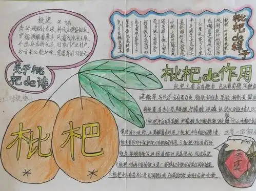 《手抄报》优秀作品