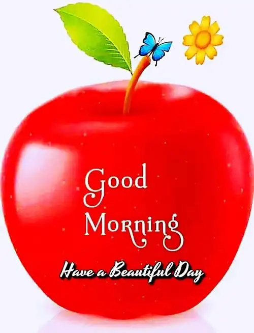说早上好的英文句子,早上好英文句子怎么写_爱阅读
