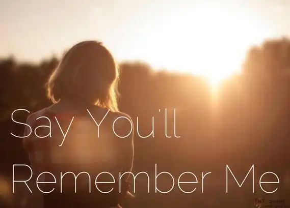 《wildest dreams》中英文双语歌词