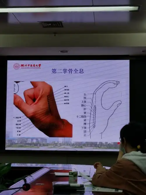 颈肩腰腿疼的全息针灸
